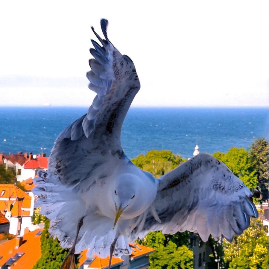 Pokoje Przy Plazy Z Widokiem Na Morze Sopot Exterior foto