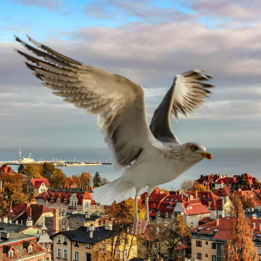 Pokoje Przy Plazy Z Widokiem Na Morze Sopot Exterior foto