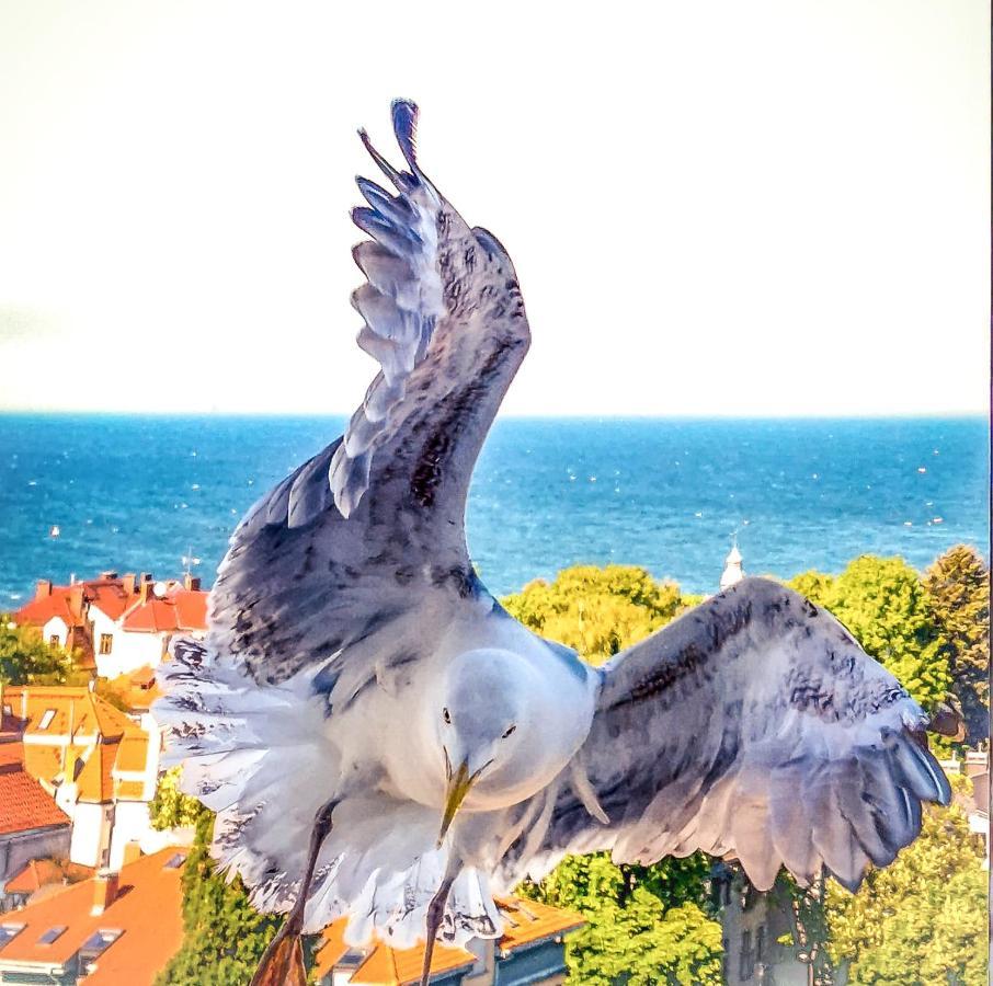 Pokoje Przy Plazy Z Widokiem Na Morze Sopot Exterior foto